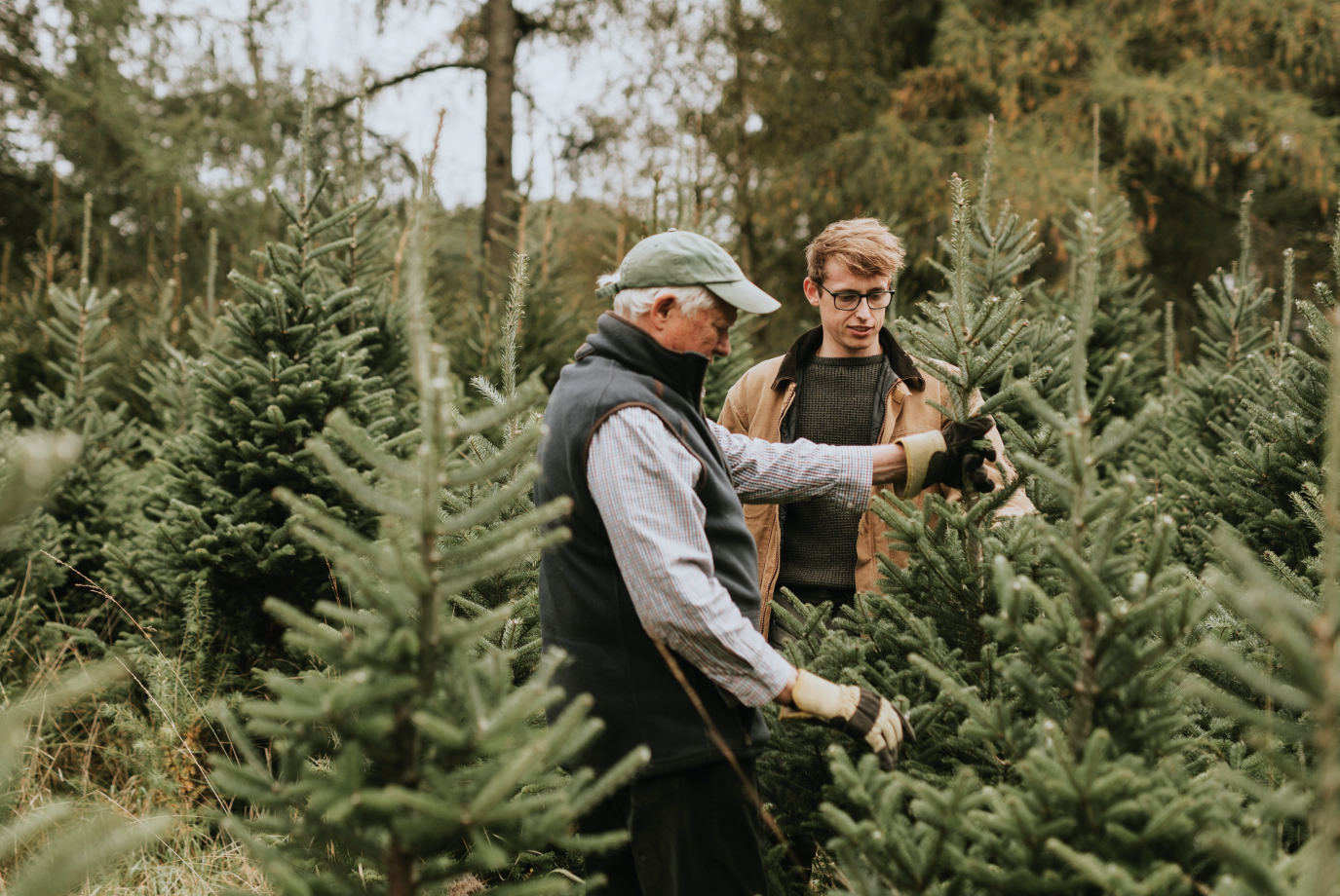 Jul og nytår · Hero.jpg